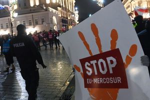 Umowa z Mercosurem. KE proponuje zabezpieczenia  