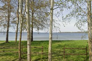 Walczą o Wzgórza Pierkunowskie! Ostatnia bitwa o dzikie Mazury