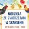 Dzień w zagrodzie w skansenie. A tam owce, konie i kozy 