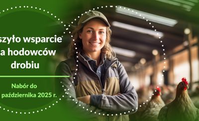 120 mln zł na wsparcie dla hodowców drobiu