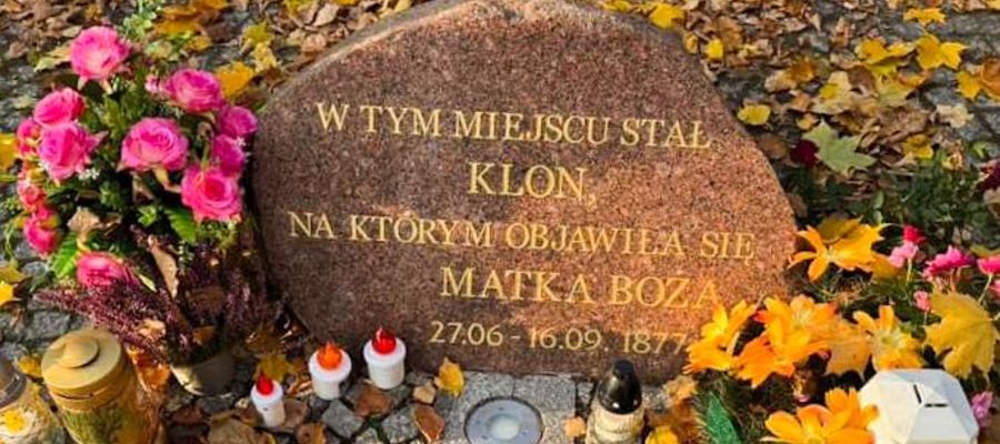 Klon stał dokładnie w miejscu kaliczki