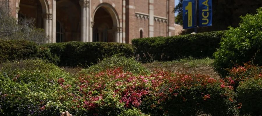Capmus UCLA 