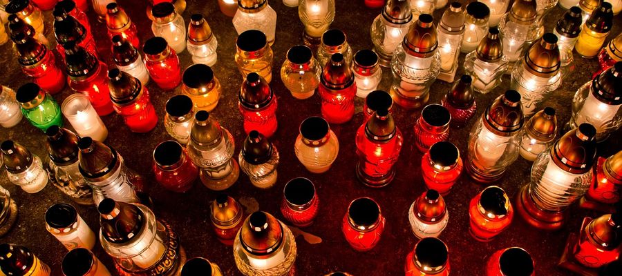 Zdjęcie jest ilustracją do tekstu 