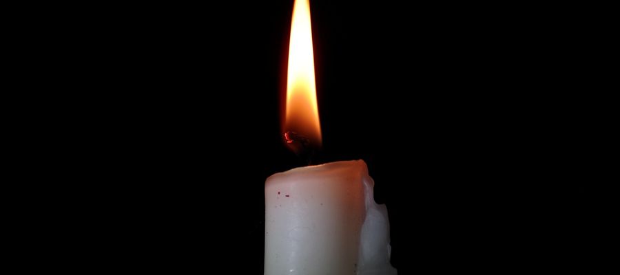 Zdjęcie jest ilustracją do tekstu