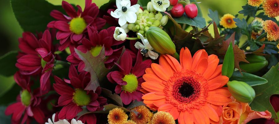 Zdjęcie jest ilustracją do tekstu 