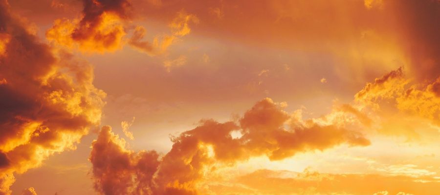 Zdjęcie jest ilustracją do tekstu 