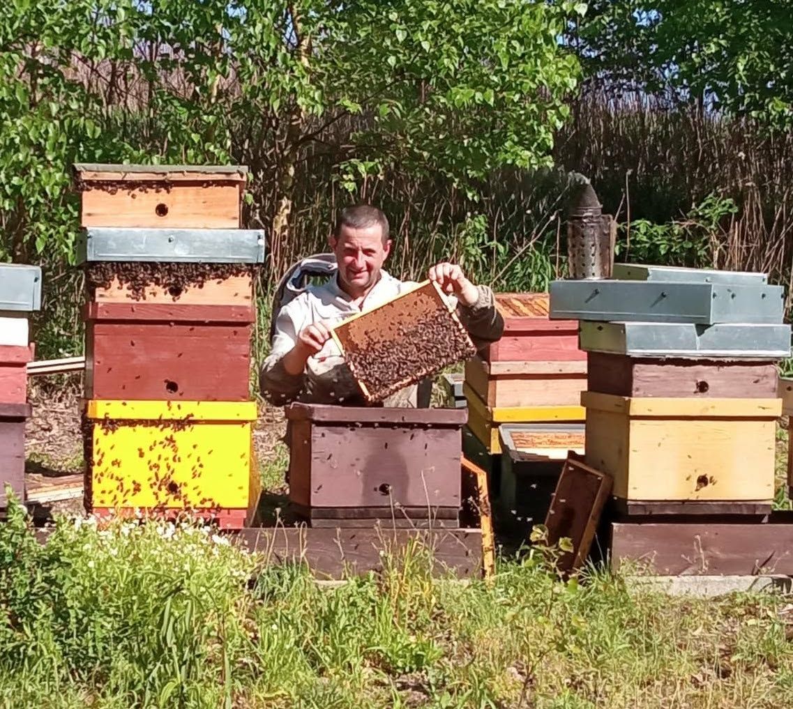 W pasiece Pszczele Skarby w okolicy Rogóźna 