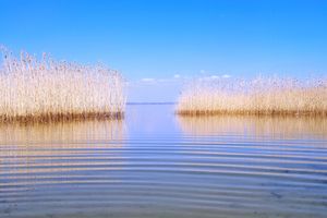 Mazury kuszą przez 12 miesięcy