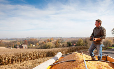 Zimny i mokry sezon 2025. Jak wpłynął na uprawę kukurydzy?