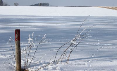 ARiMR wypłaciła 248,5 mln dla blisko 20 tys. rolników