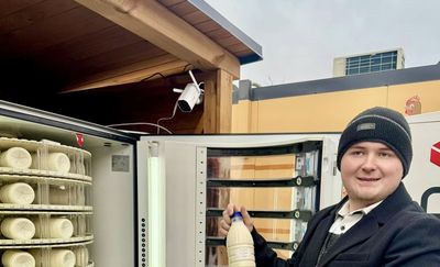 Mleko prosto od krowy znajdziesz na ulicy