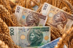 Finansowe wsparcie dla Kół Gospodyń Wiejskich – edycja 2026