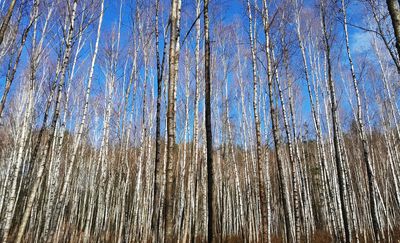Rowerowa Obwodnica Olsztyna: Czy Bełdany się bełtają? (1)
