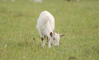 Pokazują, jak chronić klimat i produkować z zyskiem