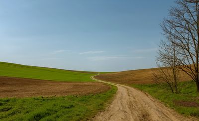 KRIR krytycznie o zmianach w przepisach. Rolnicy apelują o korekty w projekcie ustawy