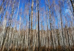 Rowerowa Obwodnica Olsztyna: Czy Bełdany się bełtają? (1)