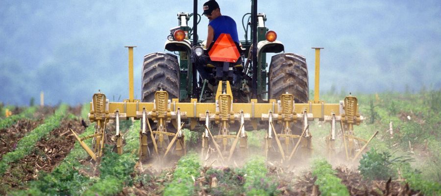 Zdjęcie jest tylko ilustracją do tekstu