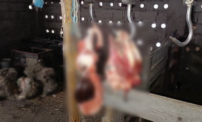 Rolnik oświetlił złodziei latarką. Chwilę później został zaatakowany