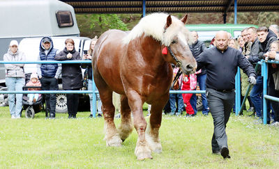 W kwietniu „Pamiętajcie o ogrodach” 