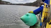 Na Wielkich Jeziorach Mazurskich pojawiły się pierwsze znaki