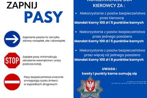 Pasy bezpieczeństwa - obowiązek korzystania nie tylko w samochodzie osobowym