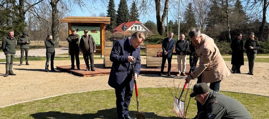 Leśna Strefa Relaksu w Krajewie już otwarta!