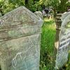 Na nagrobkach umieszczali gołębie, palmy i motyle 