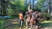 Wśród najlepszych snajperów Europy – 5 MBOT na FinnSniper 2026