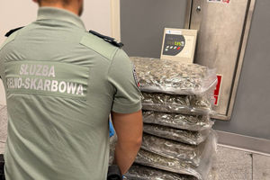 KAS wykryła 40 kg marihuany w przesyłkach kurierskich